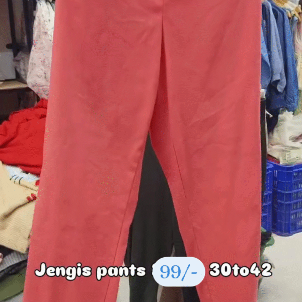14 Designer Jengis Pants | Beautiful Colors for Women (Sizes 30–42) 💫