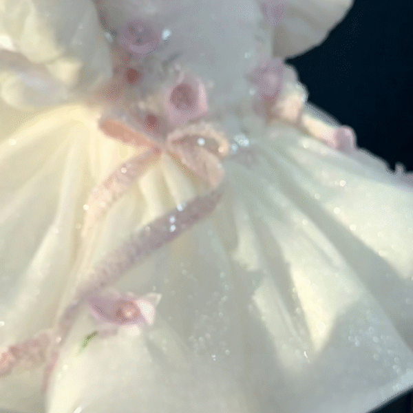 Party Wear Dresses – Glamorous Styles for Every Special Occasion ✨